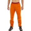 La Sportiva Roots Pant - Men's -Patagonia Shop HAWSUNSAN